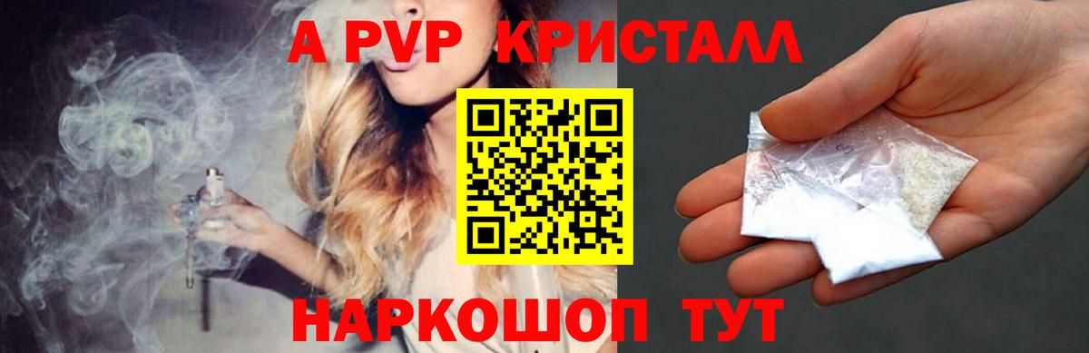 A PVP СК КРИС Назрань