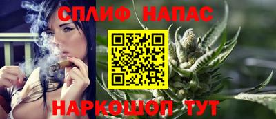 индика Дубна