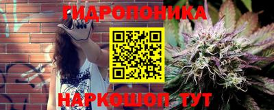 индика Дубна