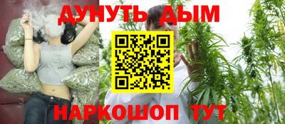 индика Дубна