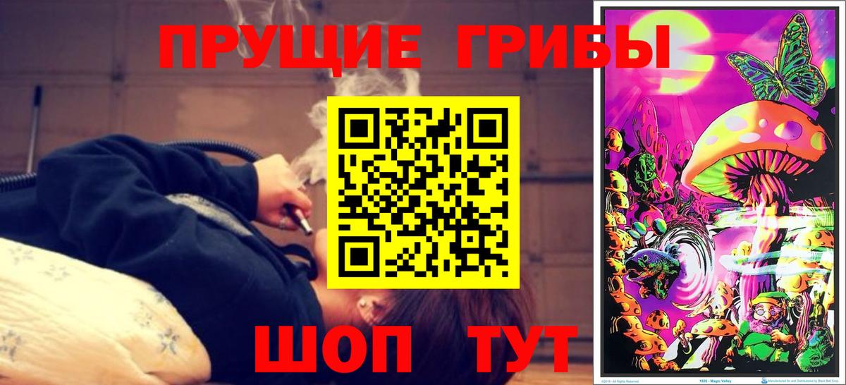 Галлюциногенные грибы Cubensis Назрань