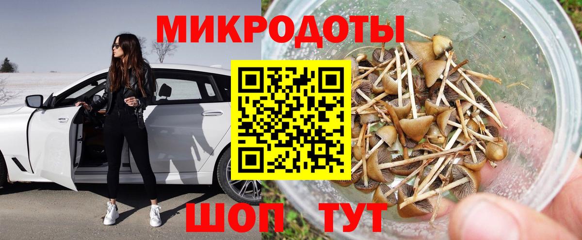 Назрань  Псилоцибиновые грибы Psilocybe  Вход с VPN 
